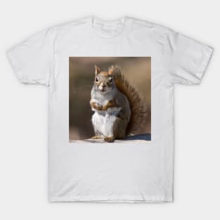 Red Squirrel T-Shirt